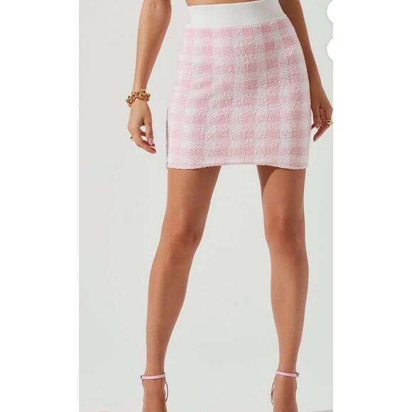 Astr Dresses & Skirts - ASTR Pink and White Gingham Terry Cloth Mindy Skirt - S